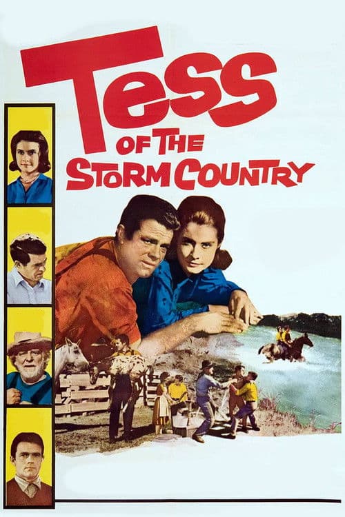 Tess of the Storm Country poster