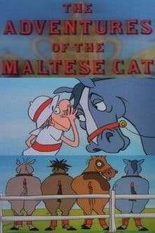 The Adventures of the Maltese Cat poster