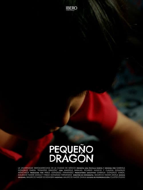 A Dragon's Flight poster