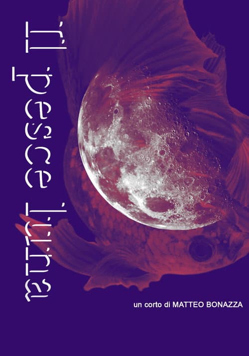Il pesce lunAH! poster
