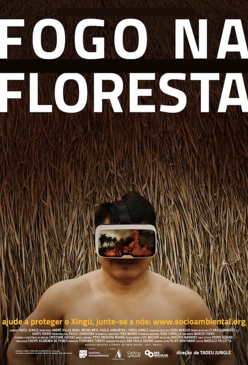Fire in the Forest poster