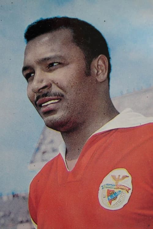 Mário Coluna profile photo