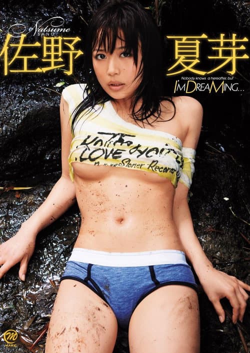 佐野夏芽 I’m DreaMing... poster