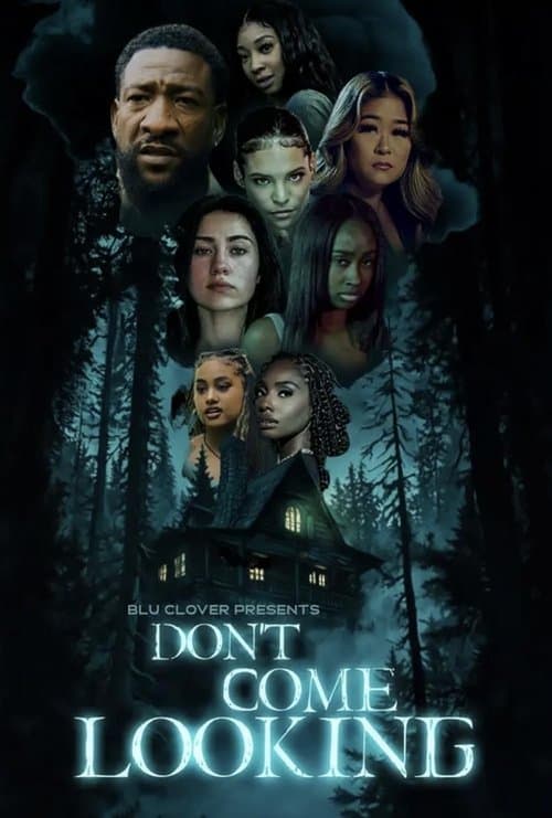 Don't Come Looking poster
