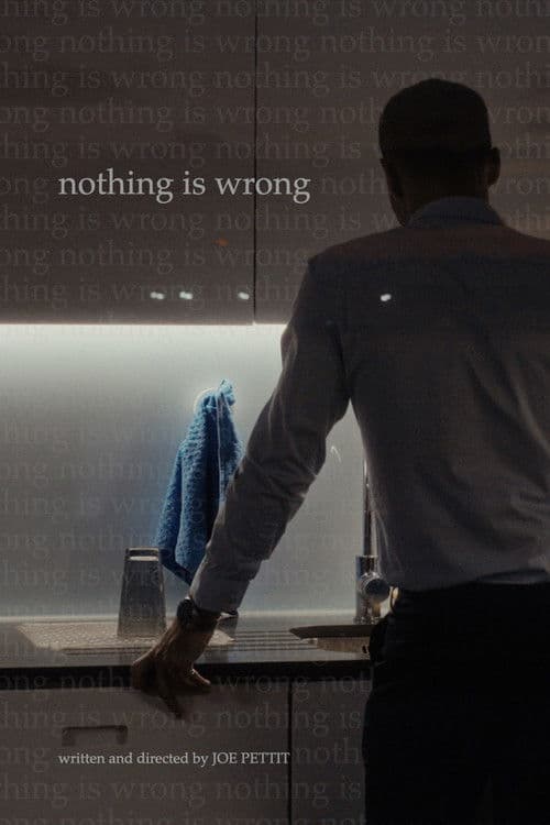 Nothing is Wrong poster