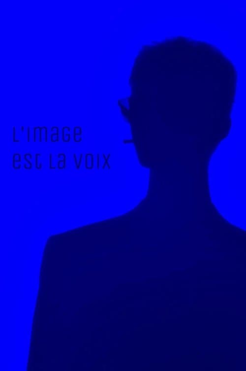 The image is the voice poster