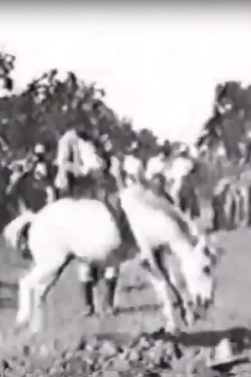 Cavalier sur un cheval rétif poster