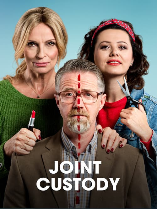 Joint Custody poster