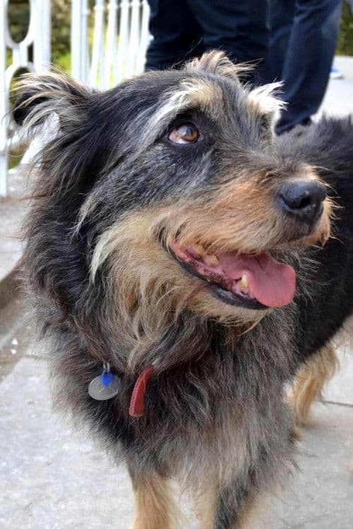 Taz Bear profile photo