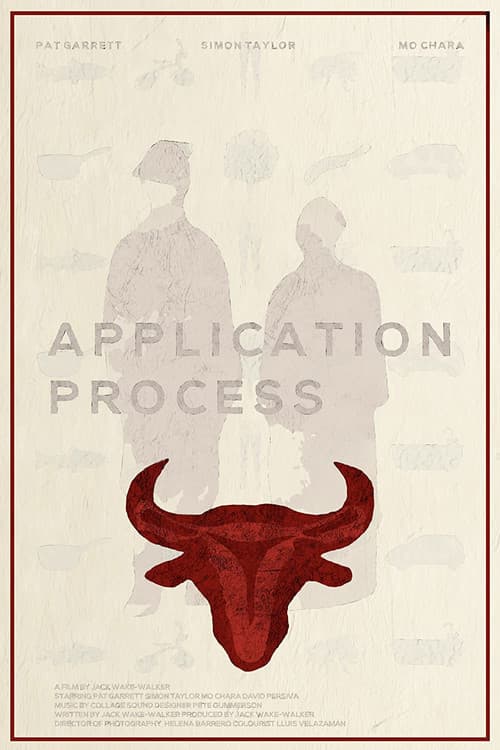 Application Process poster