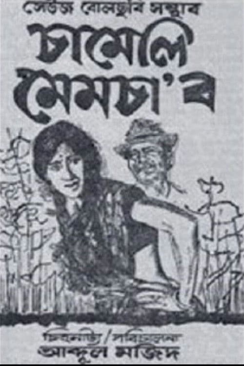 Chameli Memsaab poster