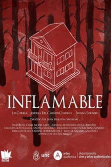 Inflamable poster