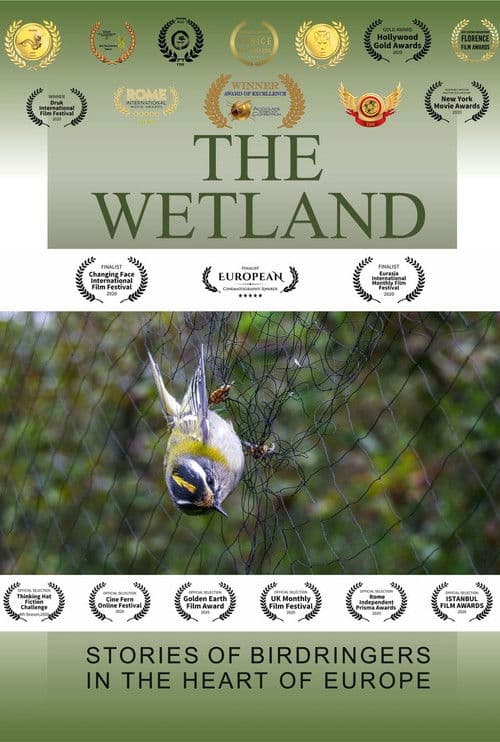 The Wetland poster