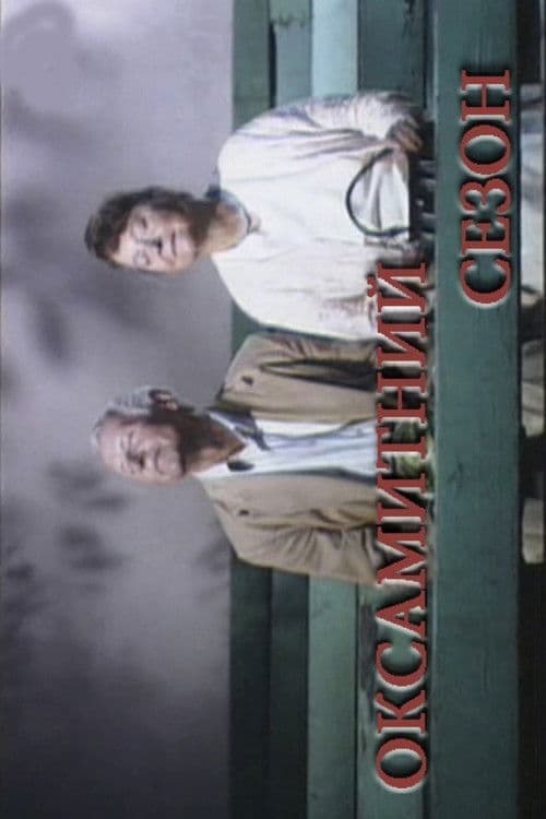 The Velvet Season poster