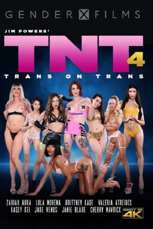 TNT: Trans On Trans 4 poster