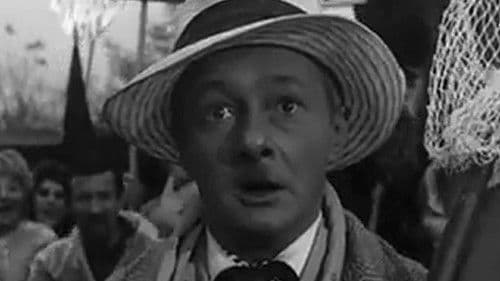 Inspekcja pana Anatola poster