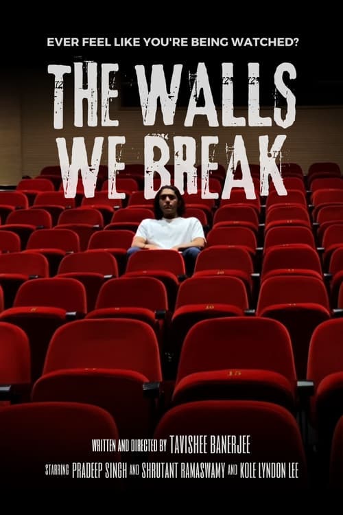 The Walls We Break poster