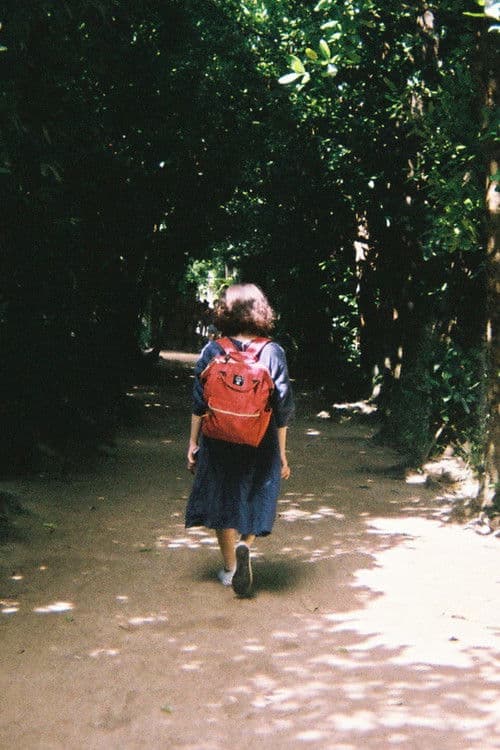 Akino Fukuji profile photo