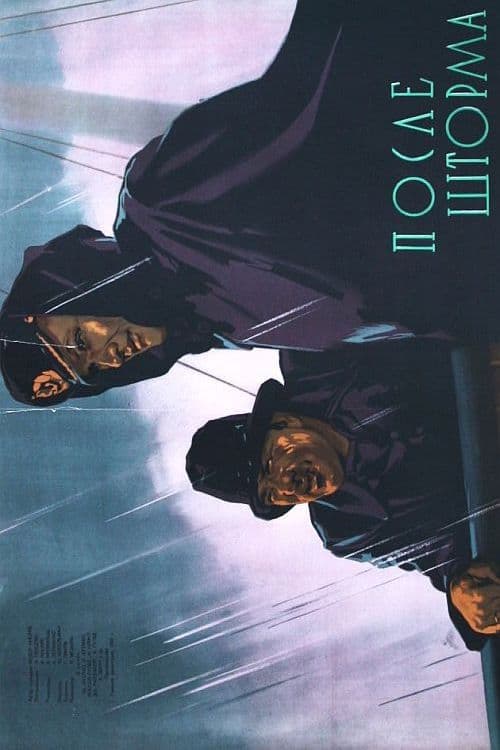 After The Storm poster