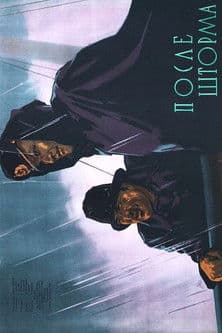 After The Storm poster