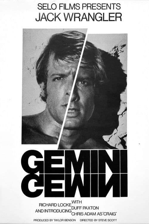 Gemini poster