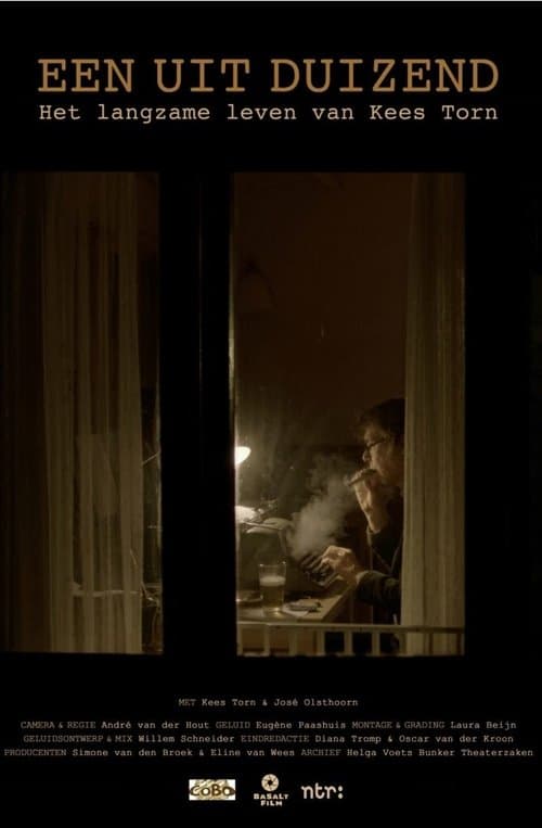 Het Langzame Leven van Kees Torn poster