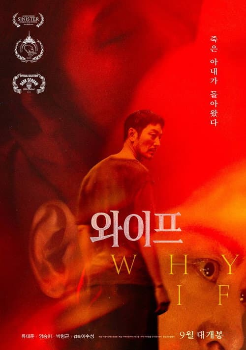 WHY, IF poster