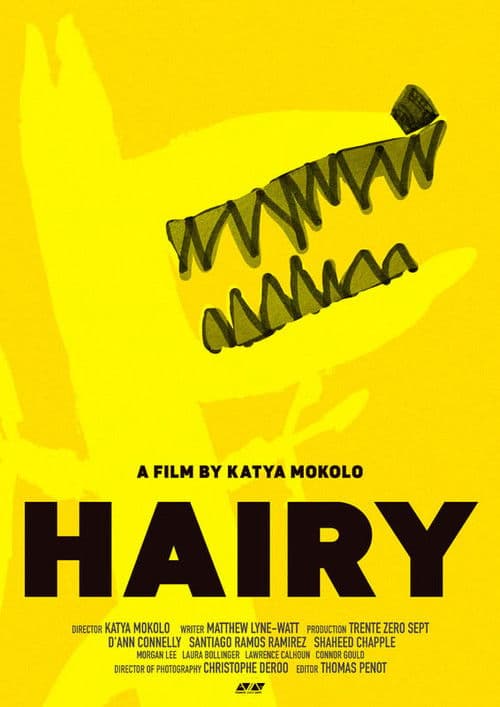 HAIRY poster