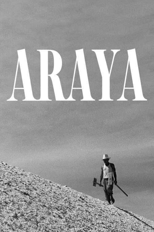 Araya poster
