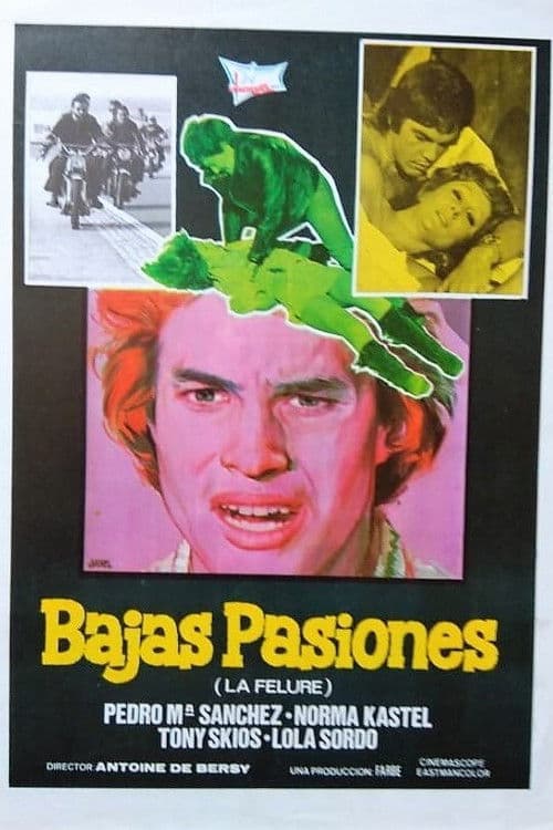 Bajas pasiones poster