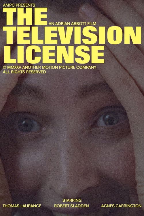The Television License poster