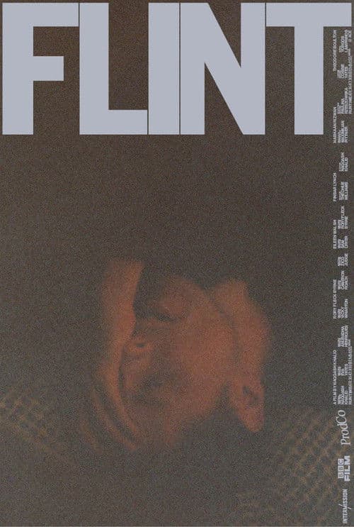 FLINT poster