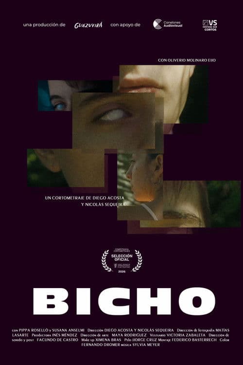 BICHO poster
