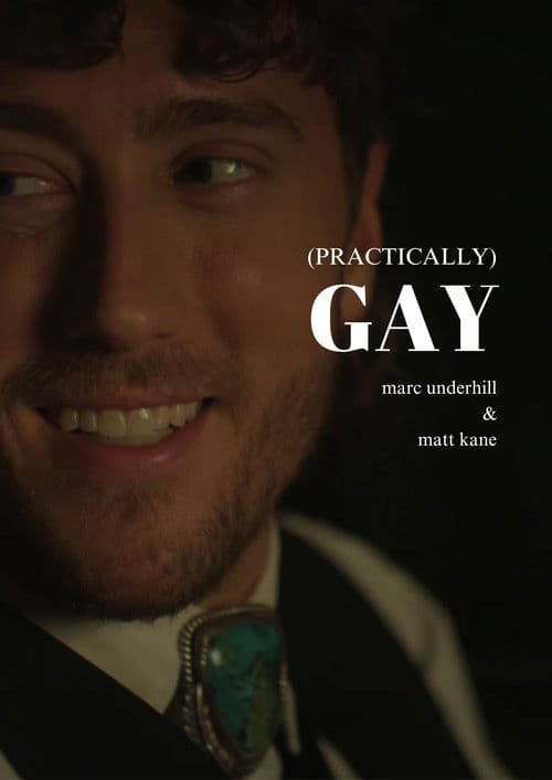 (Practically) Gay poster
