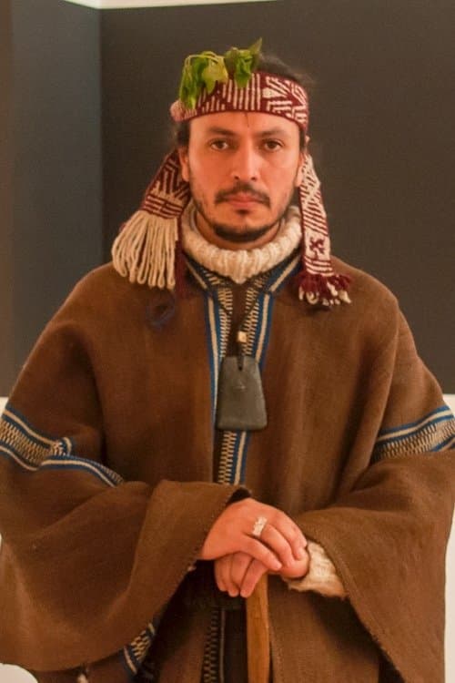 Francisco Huichaqueo profile photo