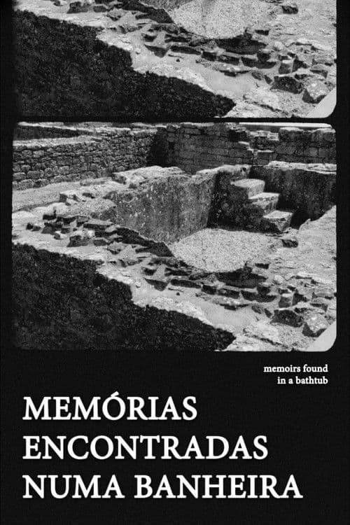 Memoirs Found in a Bathtub poster