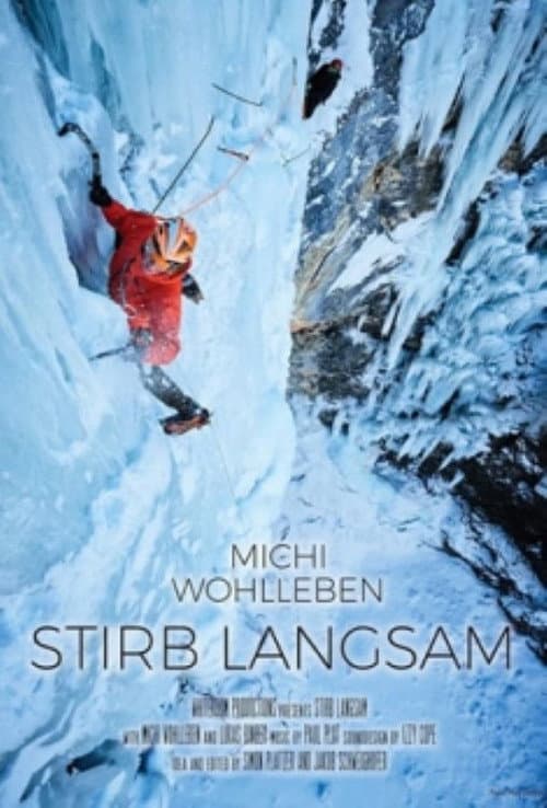 Stirb Langsam poster