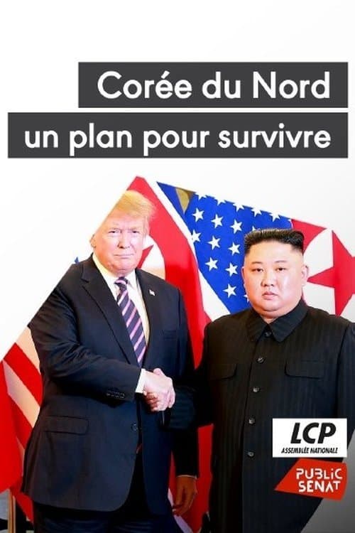 North Korea: A Plan to Survive poster