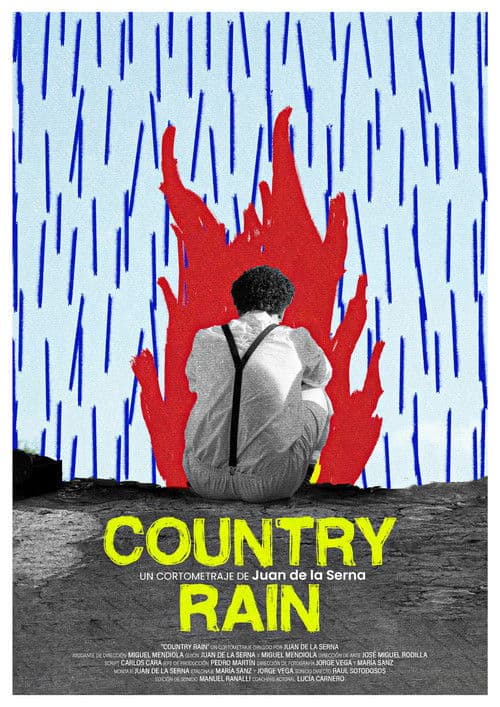 Country Rain poster