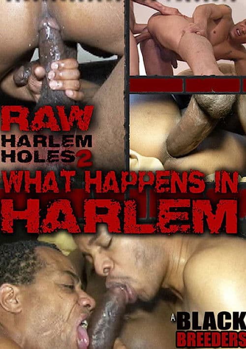 Raw Harlem Holes 2: What Happens in Harlem poster