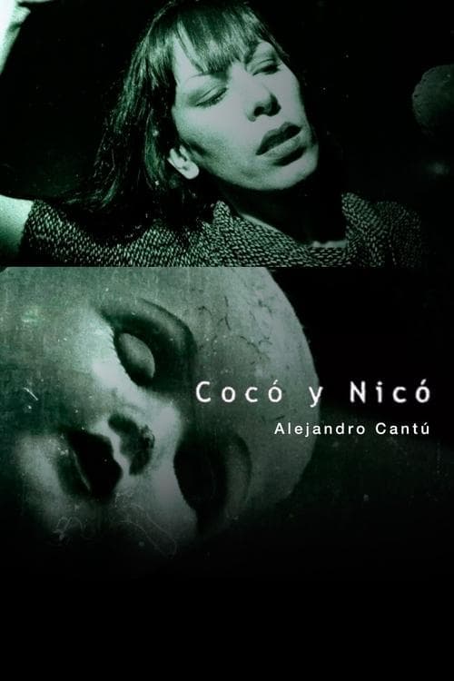 Cocó y Nicó poster