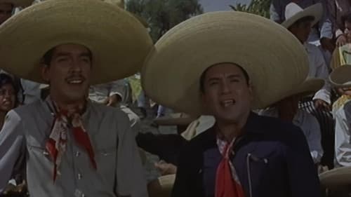 Dos gallos y dos gallinas poster