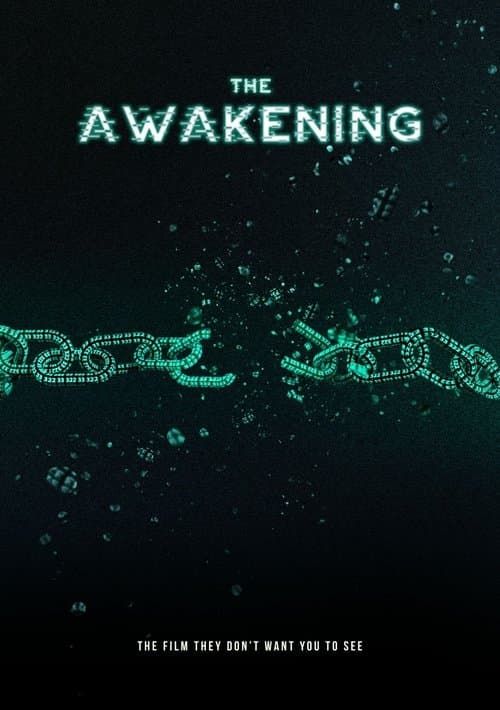 The Awakening poster