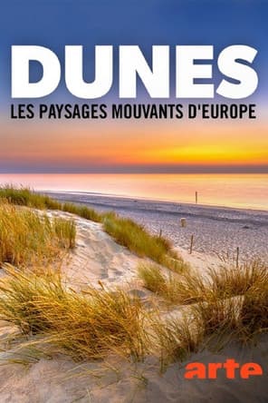 Dünen: Europas wandernde Landschaften poster