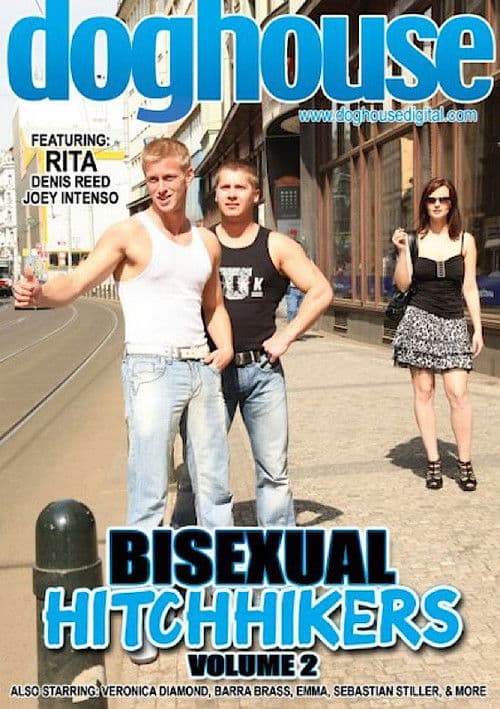 Bisexual Hitchhikers 2 poster