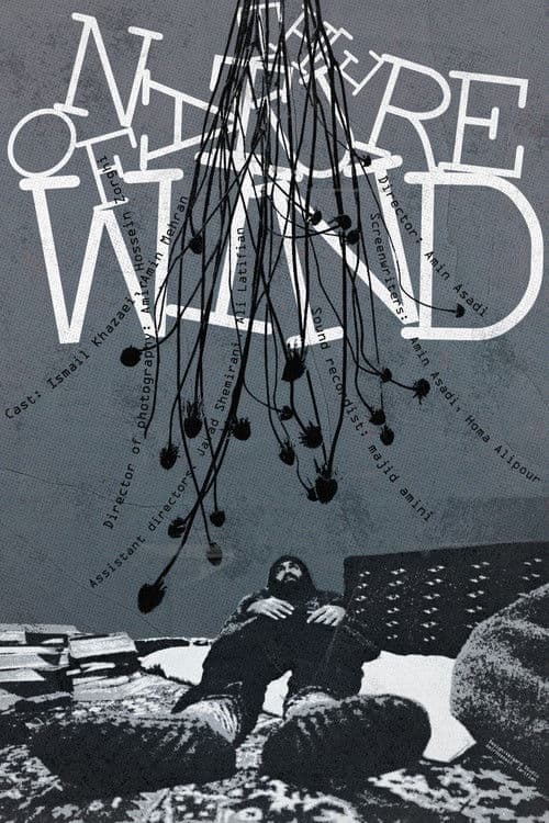 The Nature of Wind poster