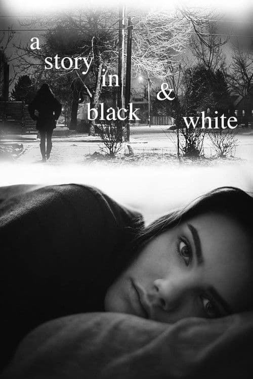 A Story in Black & White poster