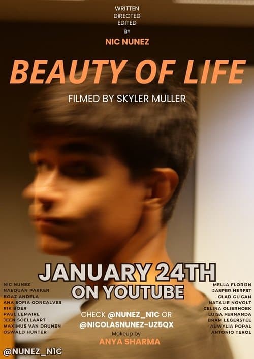 Beauty of Life poster