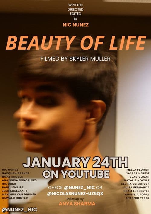 Beauty of Life poster