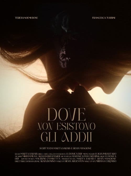 Dove Non Esistono Gli Addii poster